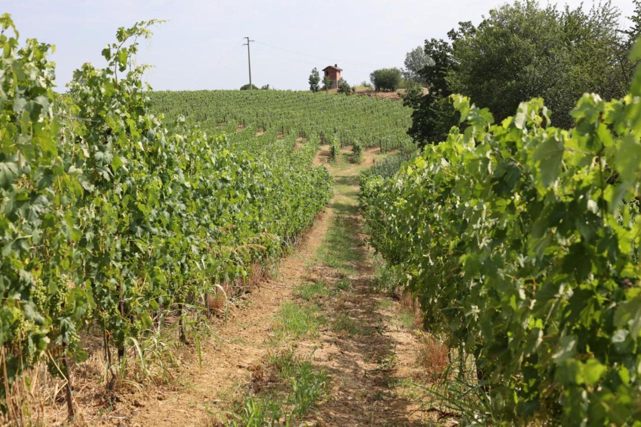 Braida Wine Resort Rocchetta Tanaro المظهر الخارجي الصورة