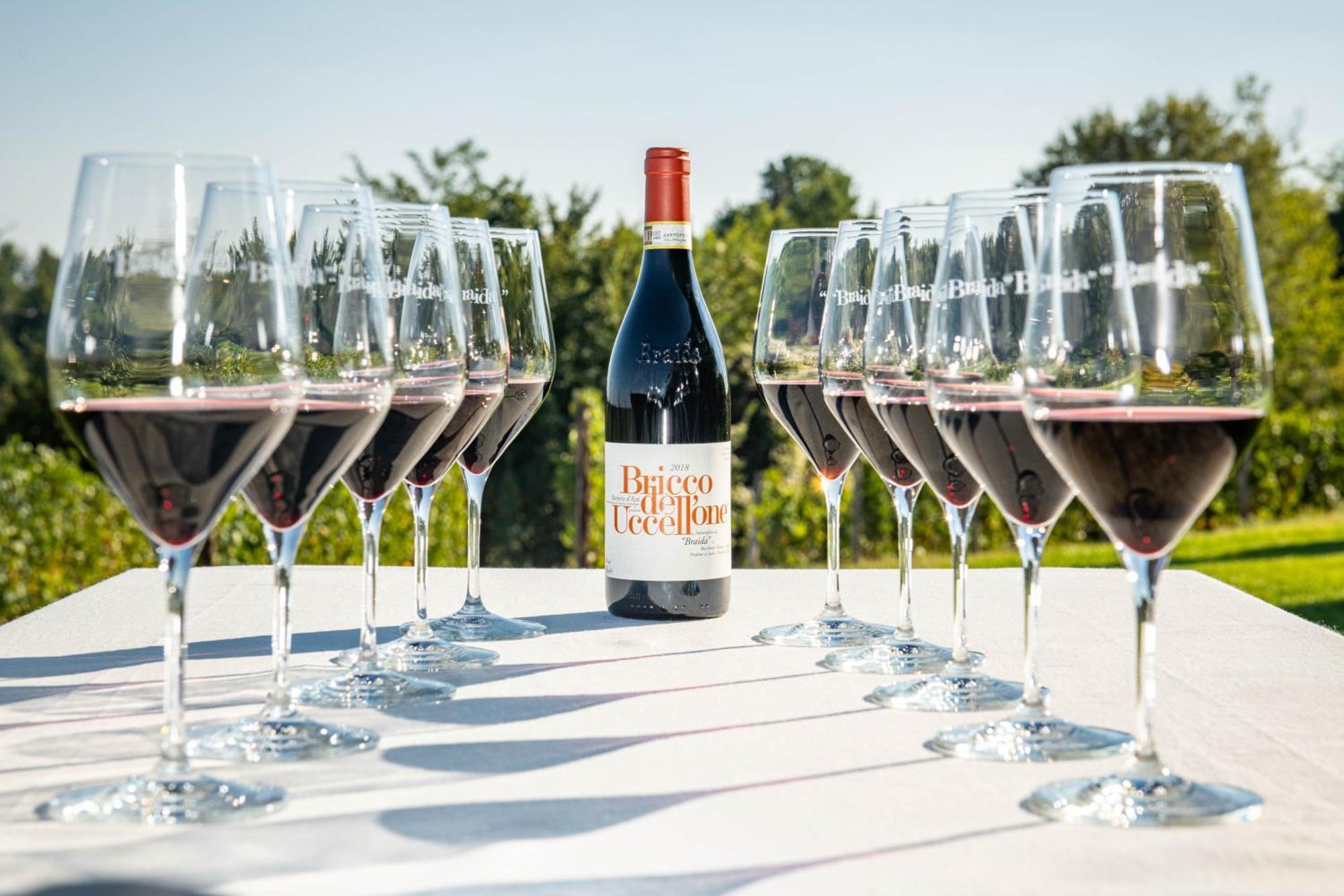 Braida Wine Resort Rocchetta Tanaro المظهر الخارجي الصورة