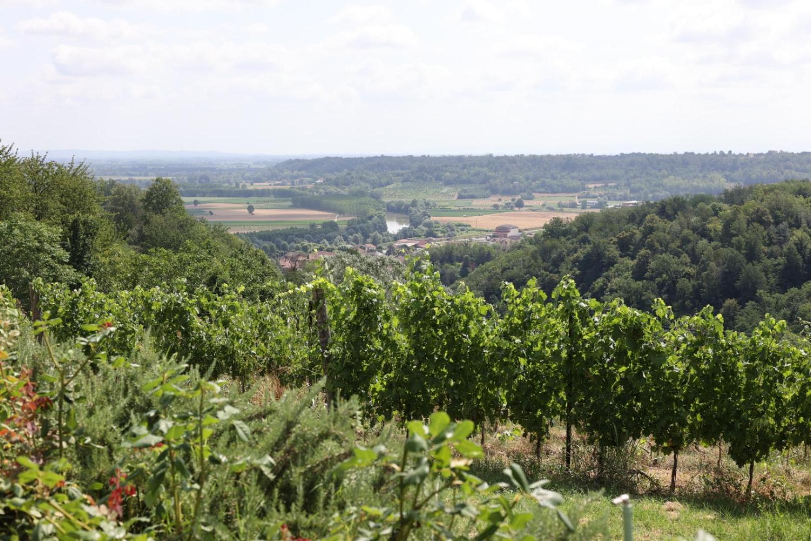 Braida Wine Resort Rocchetta Tanaro المظهر الخارجي الصورة
